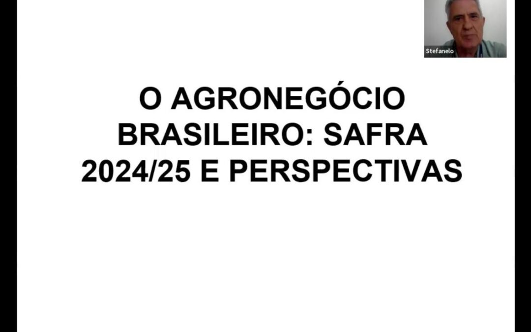 Comitê de infraestrutura analisa perspectivas da agropecuária brasileira para 2025
