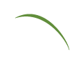Movimento Pró-Paraná